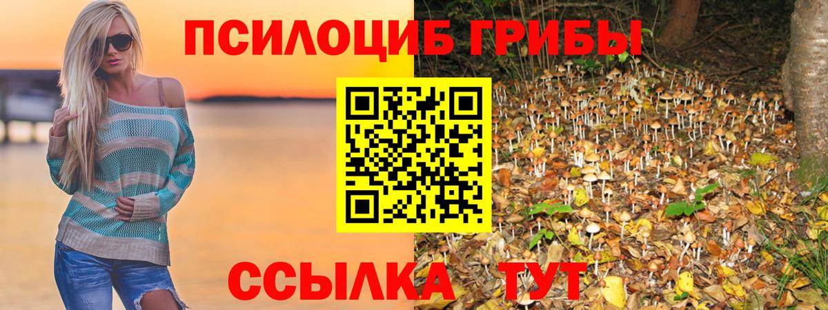 Галлюциногенные грибы ЛСД  Вход с VPN  Арзамас 